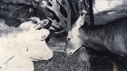 002 Idylle à L'Anglade.jpg