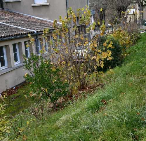 collège antoine-pons,atout fruit