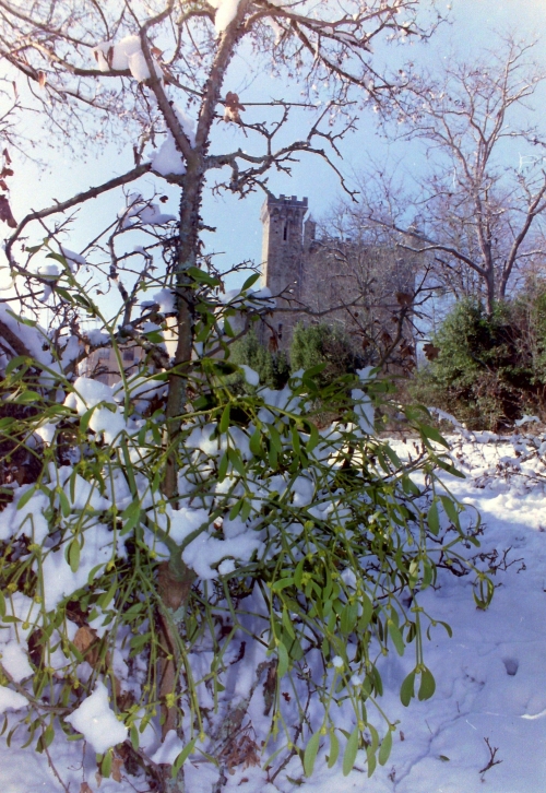 2001 Décembre château de Mauléon.JPG