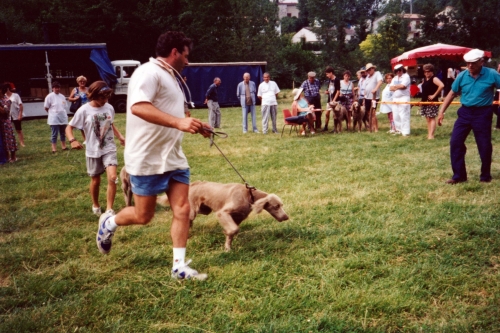 si du chalabrais