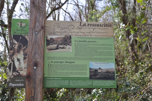 sentier des métairies peyrefitte-du-razès