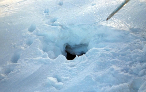 St Barth Déc. 1995 010.jpg