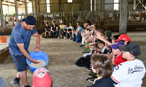 école louis-pergaud,alexandre granger