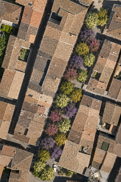 mairie chalabre platanes