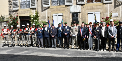 camerone,aale