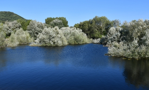 2025 5 août Lac Montbel.JPG