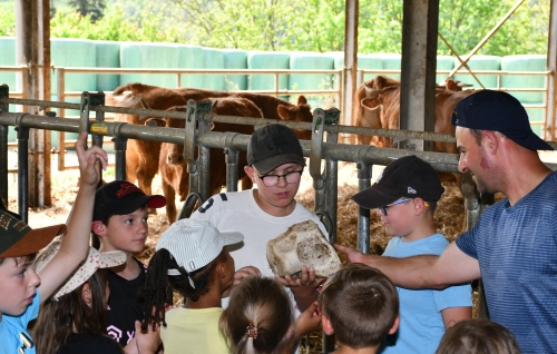 école louis-pergaud,alexandre granger