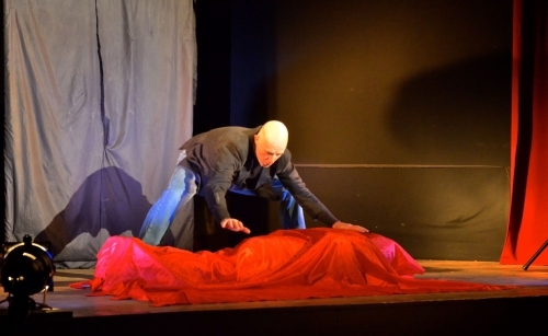 adorables,elsa suard