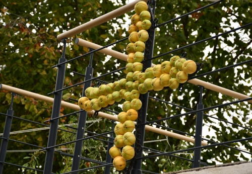 2026 Fête Pommiers Sonnac Octobre Décos 2 octobre 3e annonce 002.JPG